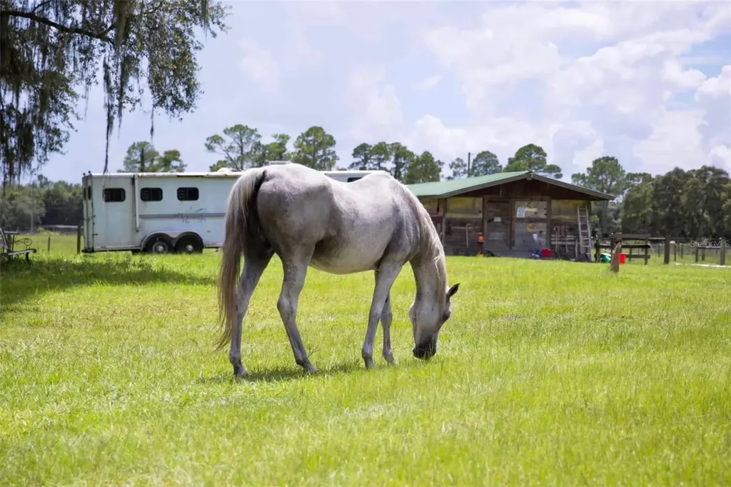 1045 Buckles Road Pierson FL 32180