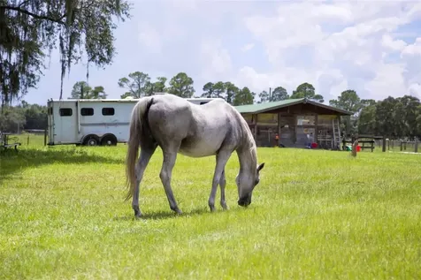 1045 Buckles Road Pierson FL 32180