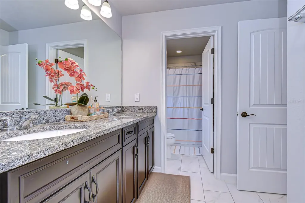 11724 Wrought Pine Loop Riverview FL 33569