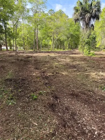 8401 Amelia Trail Kissimmee FL 34747