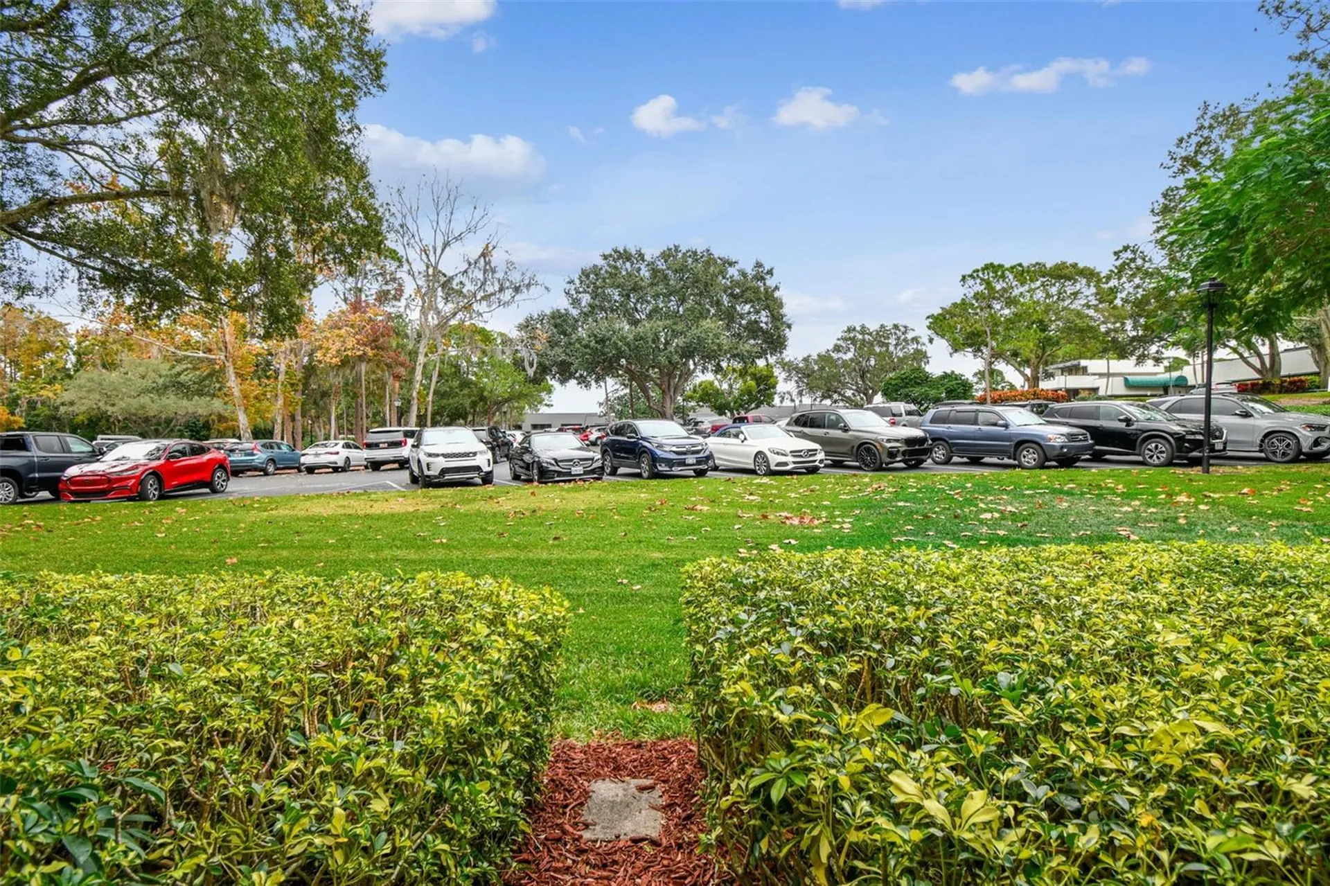 36750 Us Highway 19 N Palm Harbor FL 34684