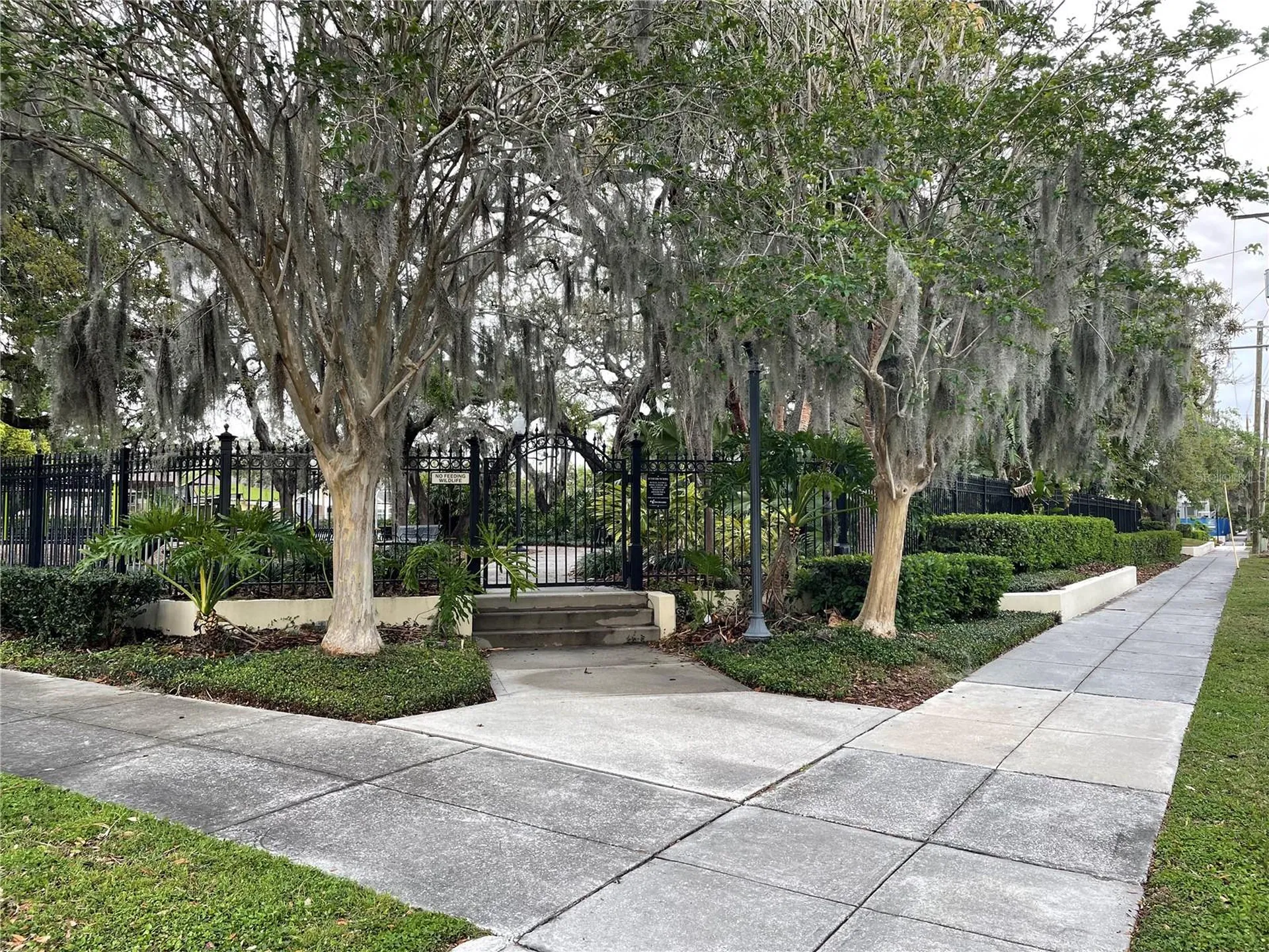 1806 W Morrison Avenue Tampa FL 33606