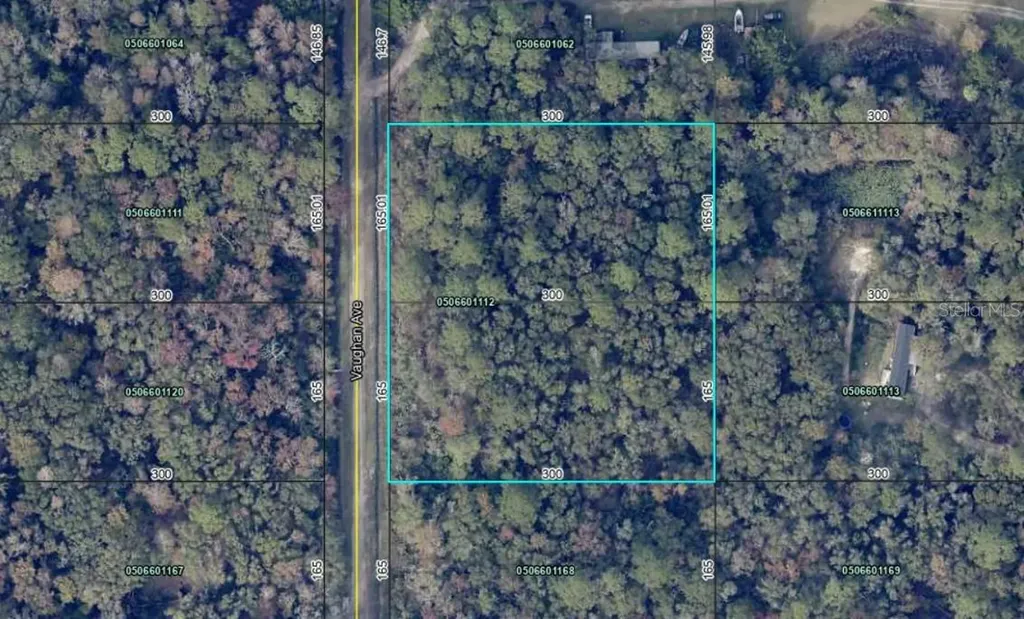 10410 Vaughan Avenue Hastings FL 32145
