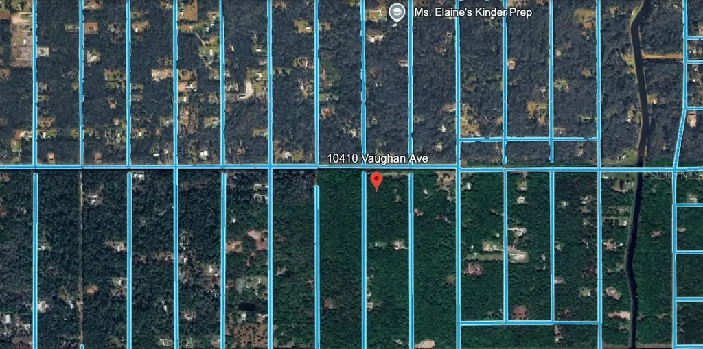 10410 Vaughan Avenue Hastings FL 32145