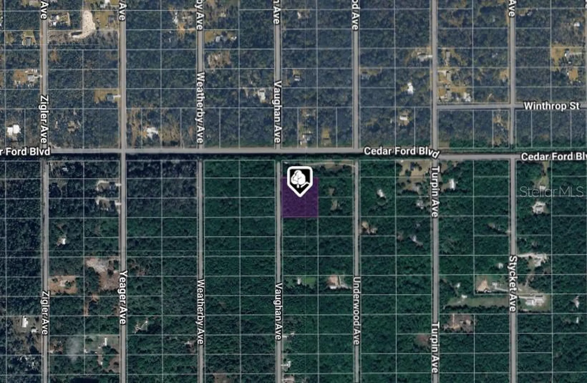 10410 Vaughan Avenue Hastings FL 32145