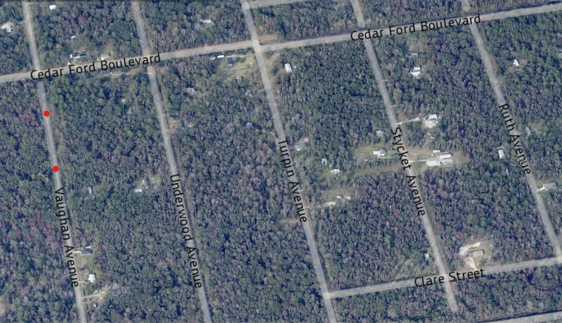 10410 Vaughan Avenue Hastings FL 32145
