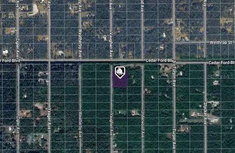 10410 Vaughan Avenue Hastings FL 32145