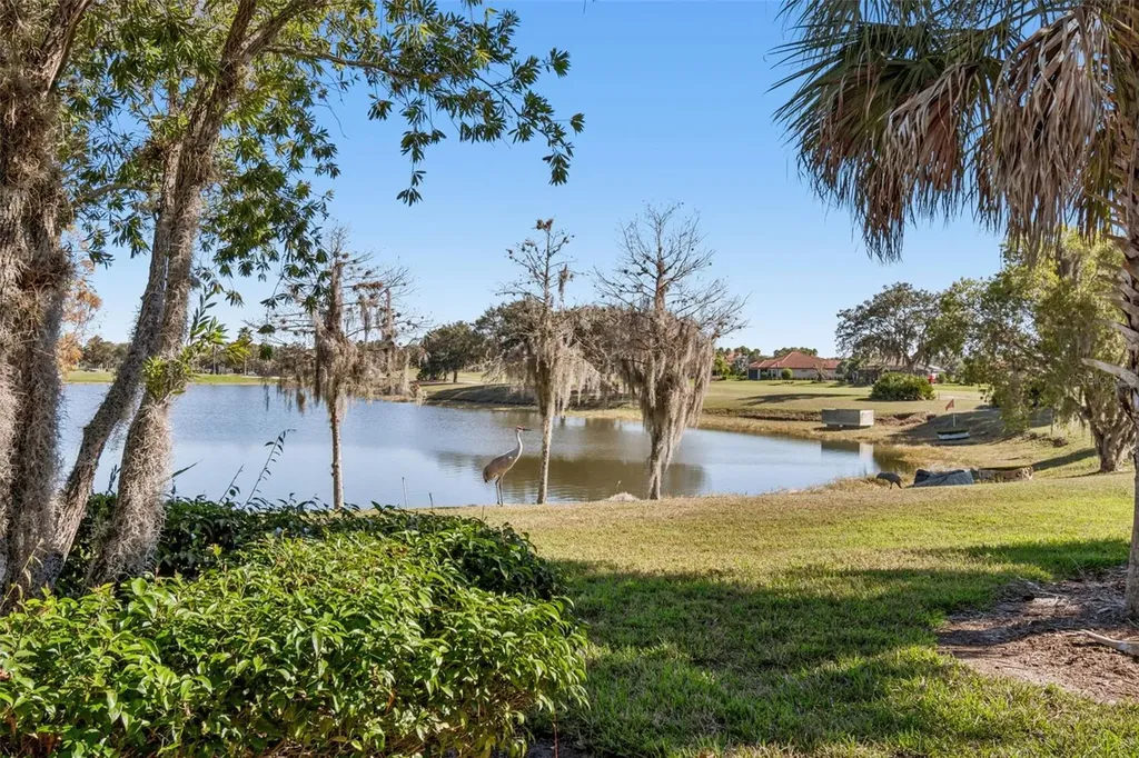 2376 Palm Tree Drive Kissimmee FL 34759