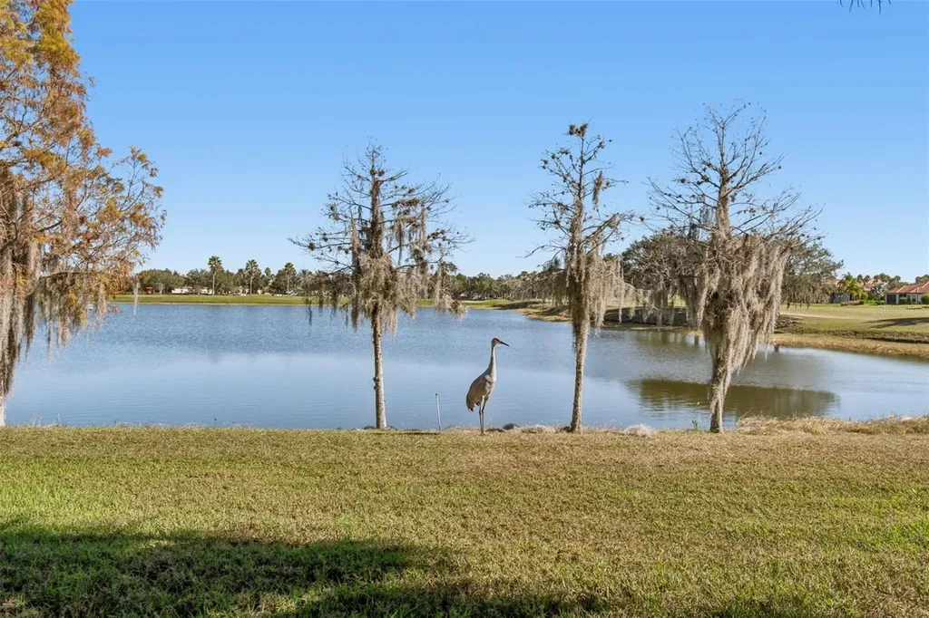 2376 Palm Tree Drive Kissimmee FL 34759