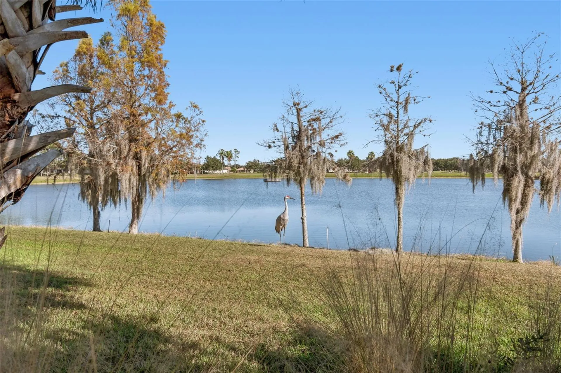 2376 Palm Tree Drive Kissimmee FL 34759