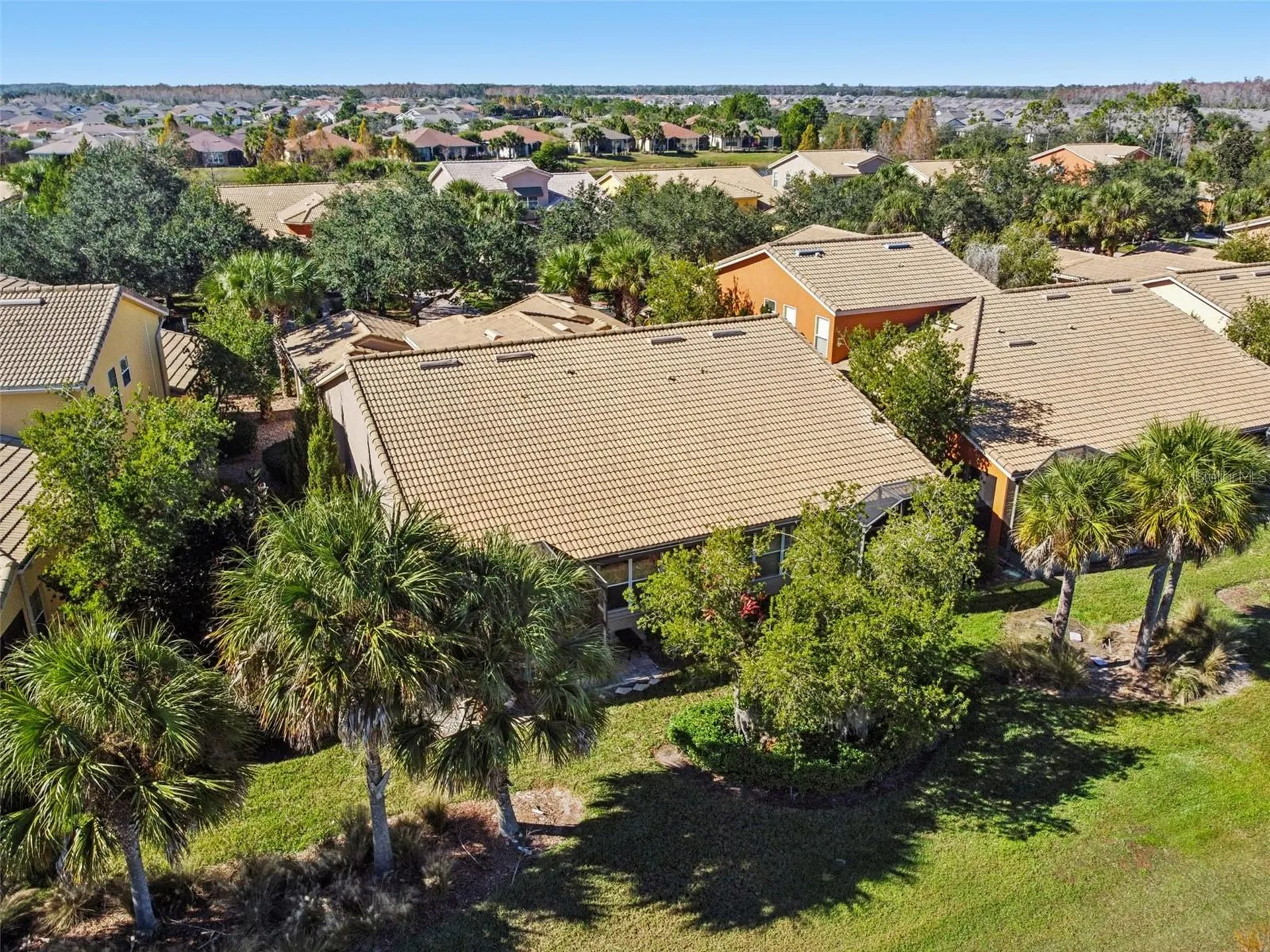 2376 Palm Tree Drive Kissimmee FL 34759