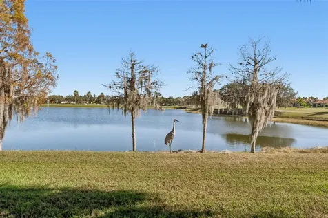 2376 Palm Tree Drive Kissimmee FL 34759