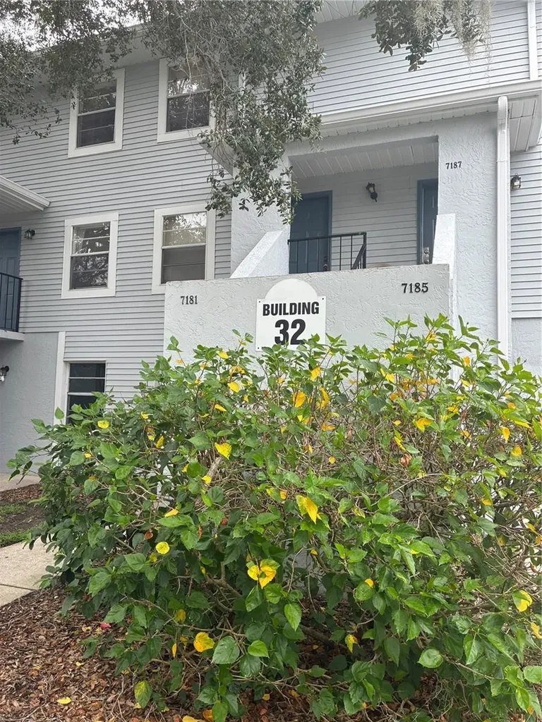 7193 E Bank Drive Tampa FL 33617