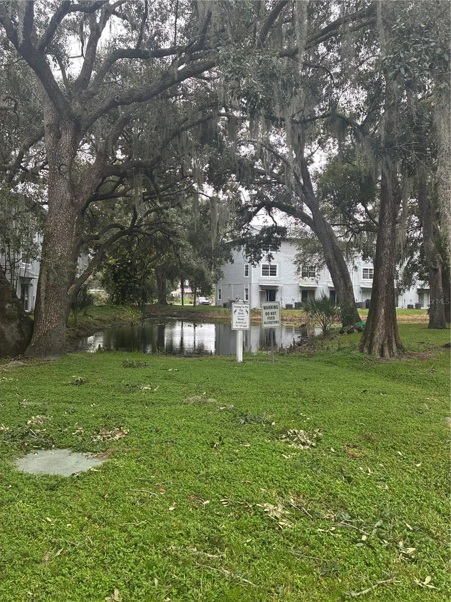 7193 E Bank Drive Tampa FL 33617