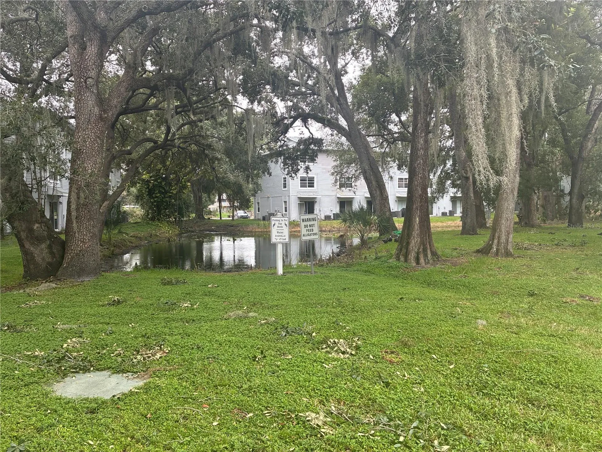 7193 E Bank Drive Tampa FL 33617