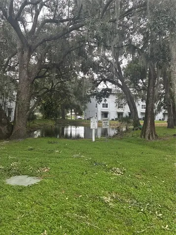 7193 E Bank Drive Tampa FL 33617