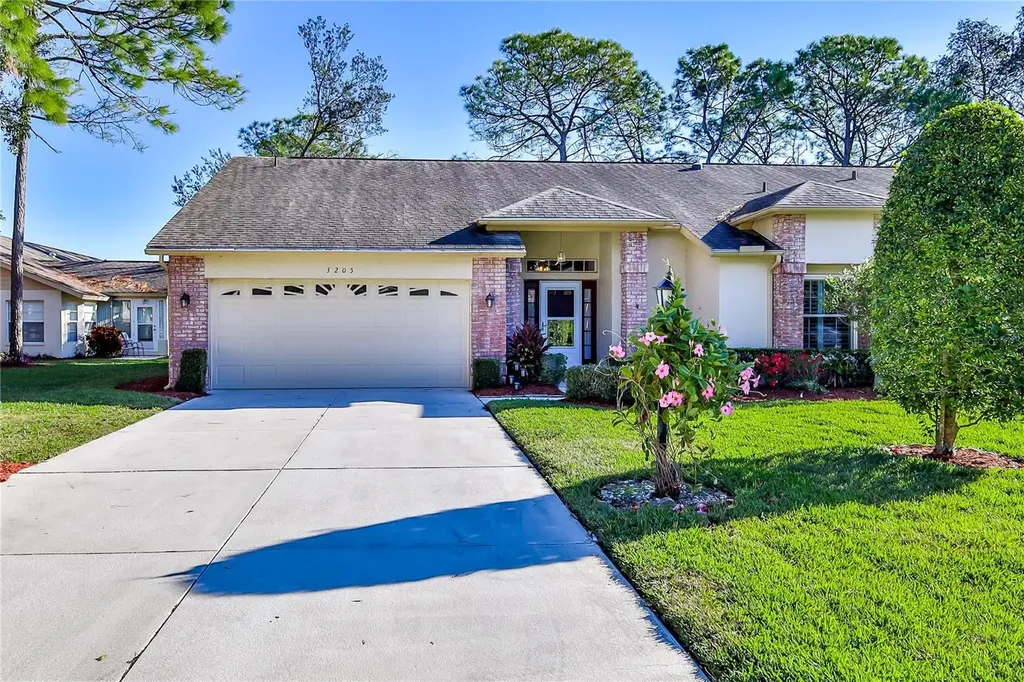 3205 Appleblossom Trail Spring Hill FL 34606