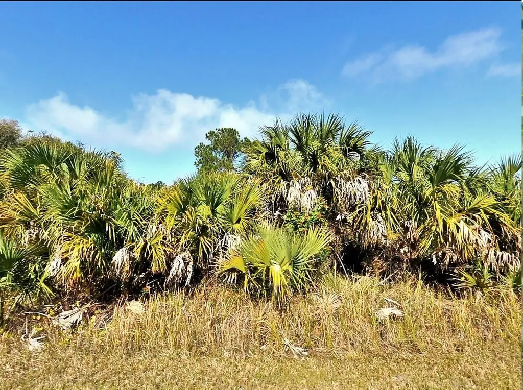 00 Bannock Circle North Port FL 34288