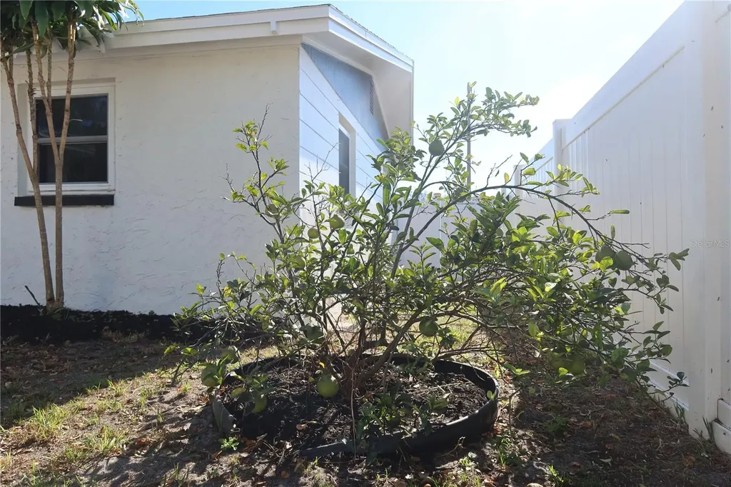 7521 Coventry Drive Port Richey FL 34668