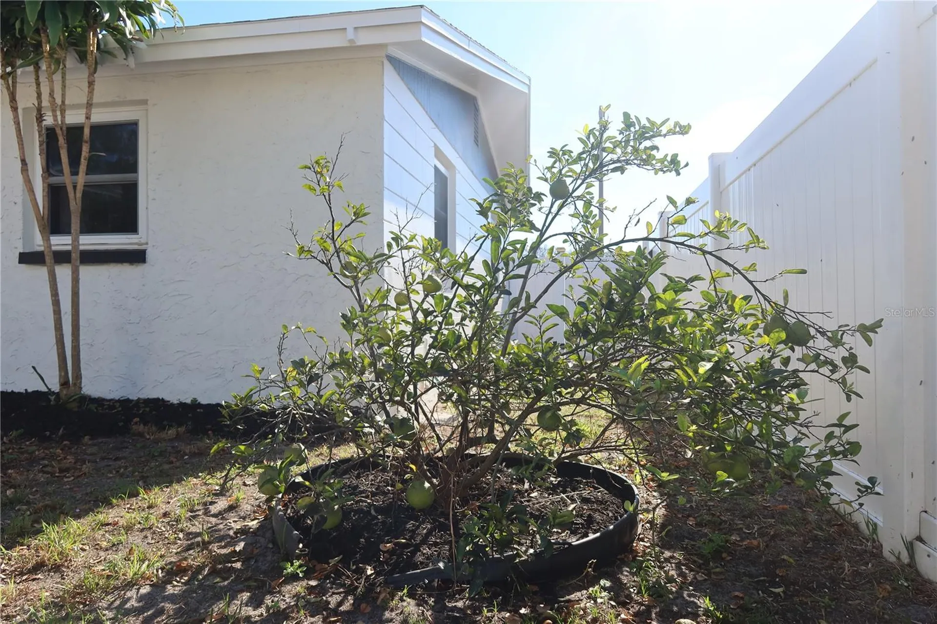 7521 Coventry Drive Port Richey FL 34668