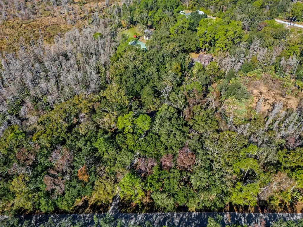 8725 Quail Run Drive Wesley Chapel FL 33544