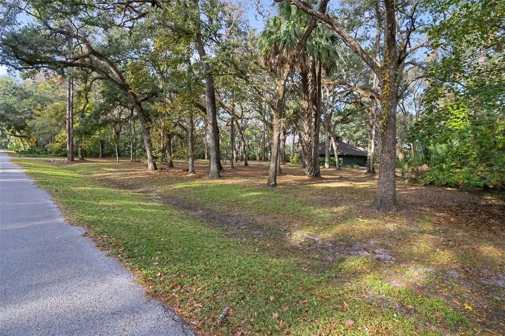 8725 Quail Run Drive Wesley Chapel FL 33544