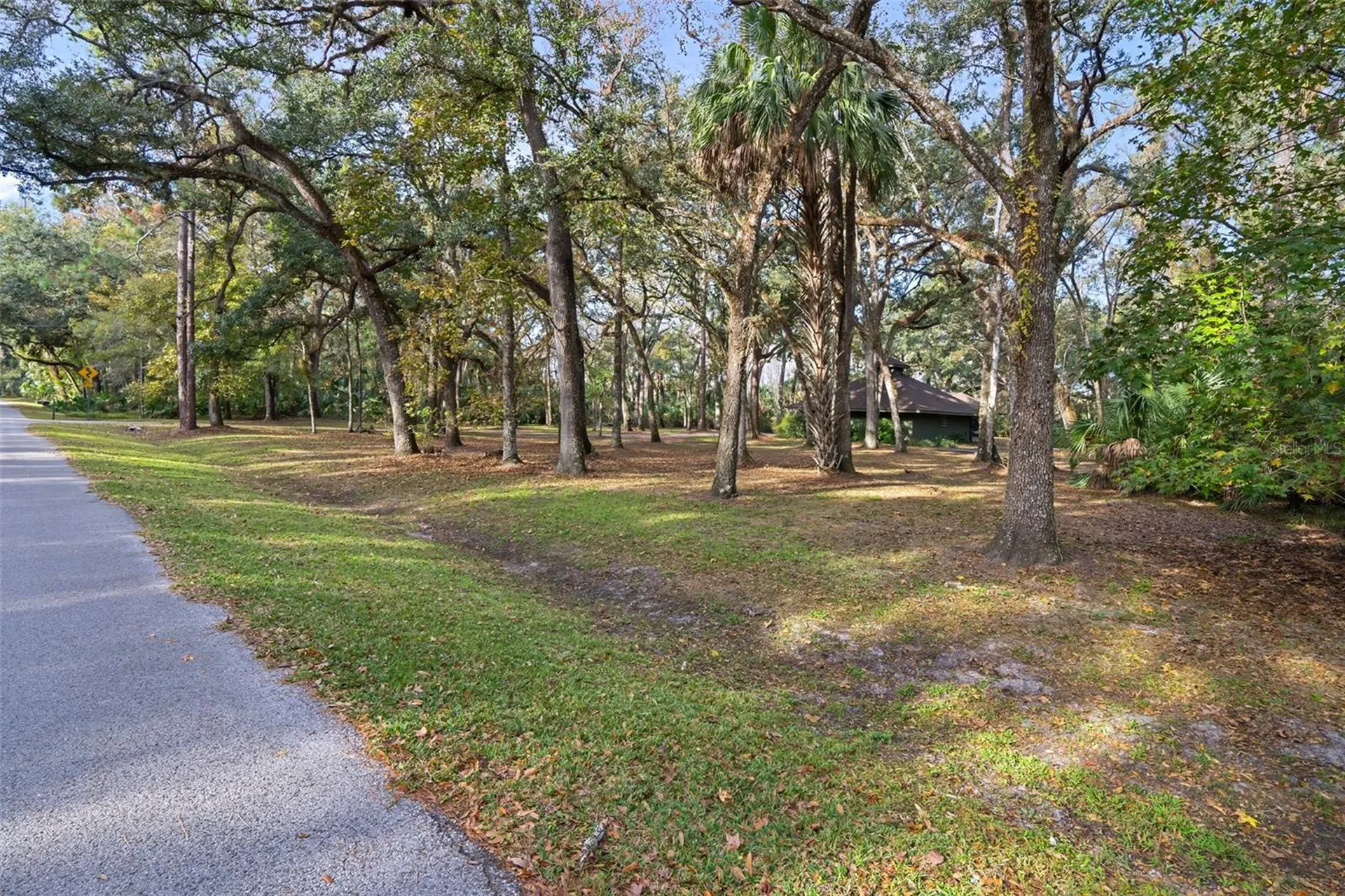8725 Quail Run Drive Wesley Chapel FL 33544