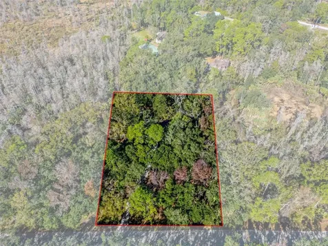 8725 Quail Run Drive Wesley Chapel FL 33544