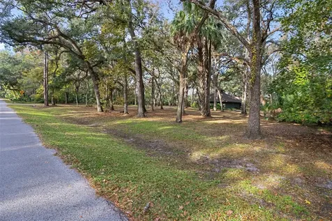 8725 Quail Run Drive Wesley Chapel FL 33544