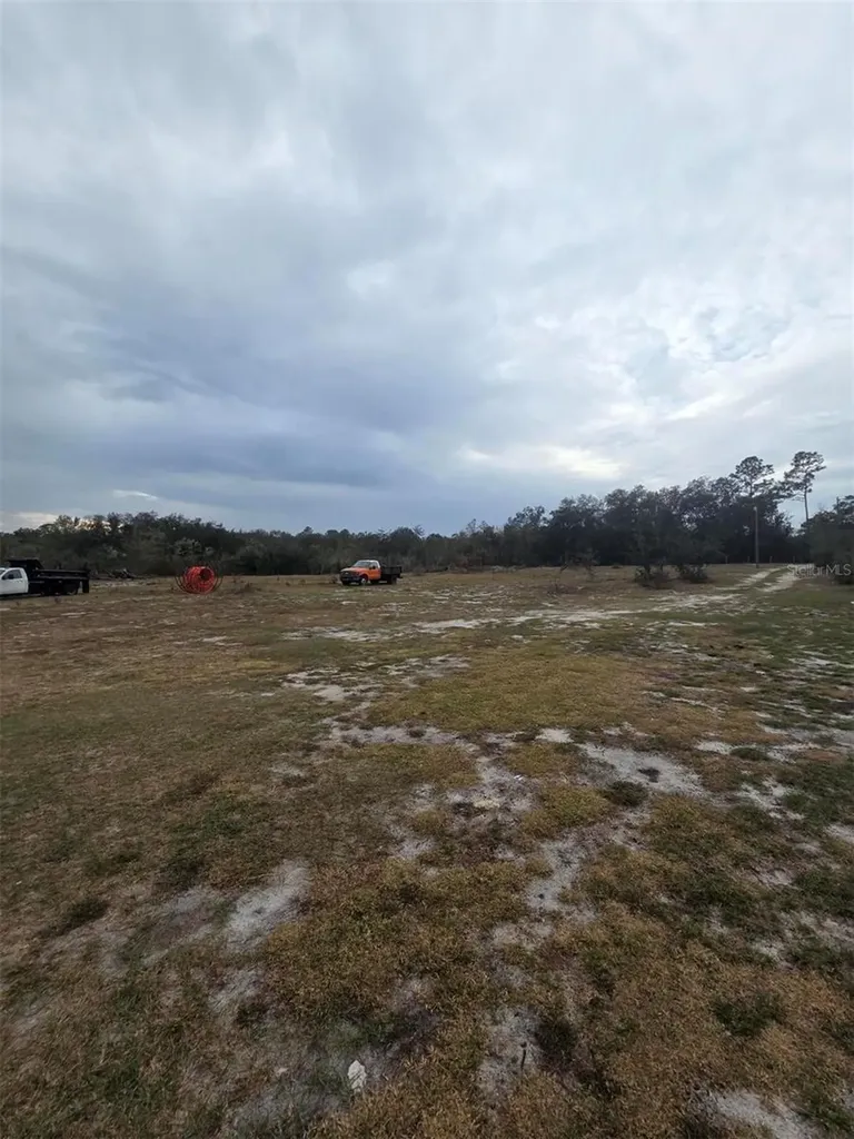 35238 Manuel Street Webster FL 33597