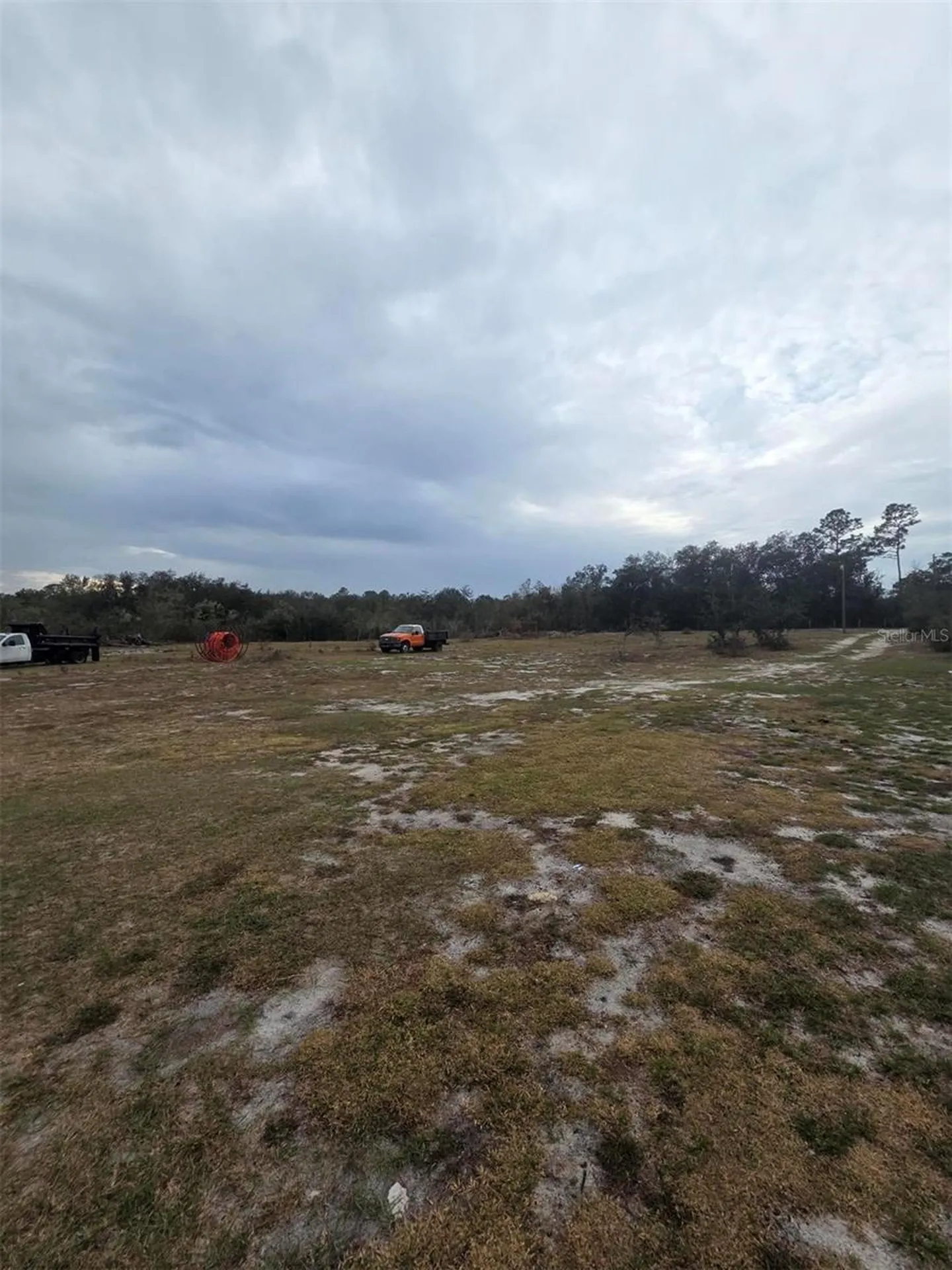 35238 Manuel Street Webster FL 33597