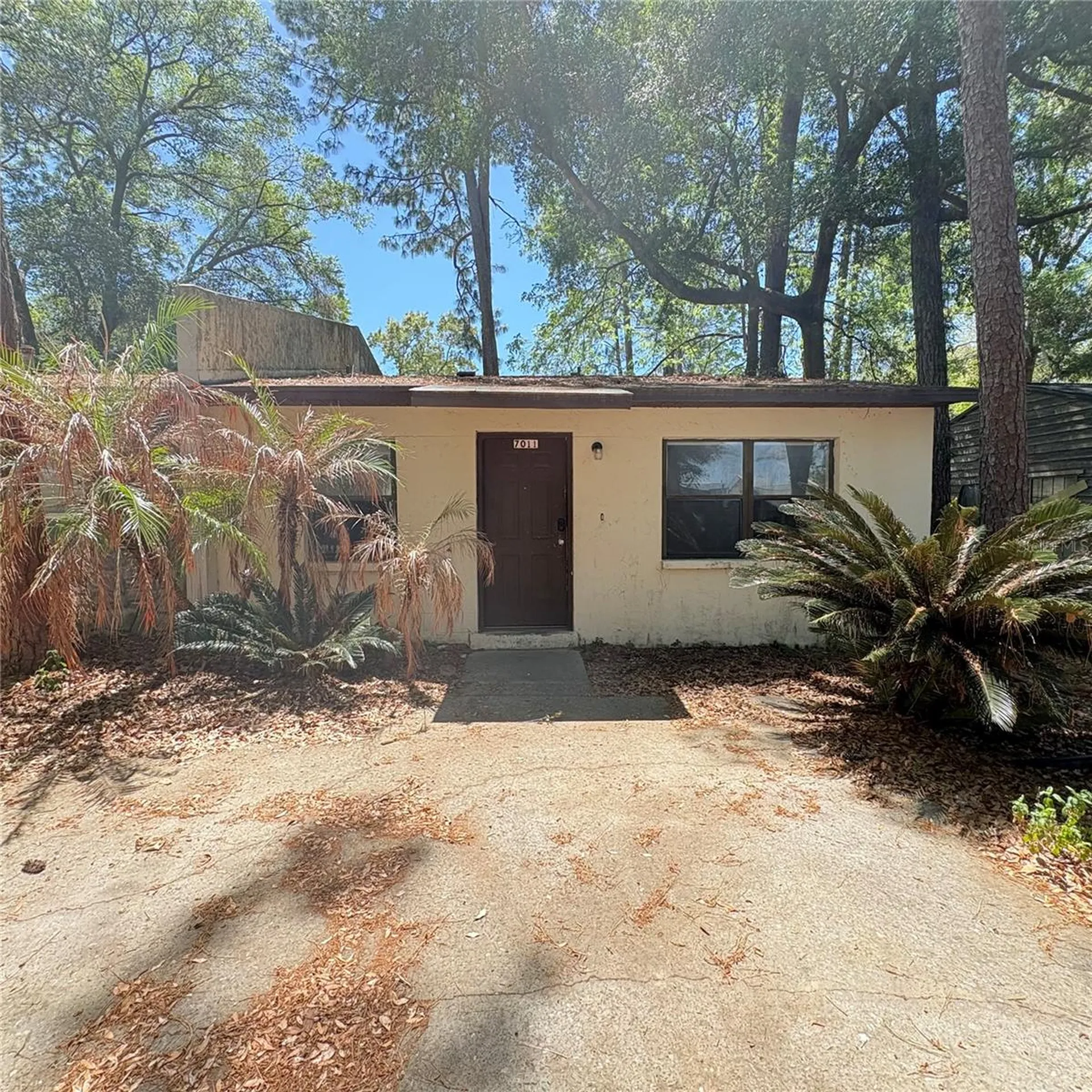 7011 SW 17th Place Gainesville FL 32607