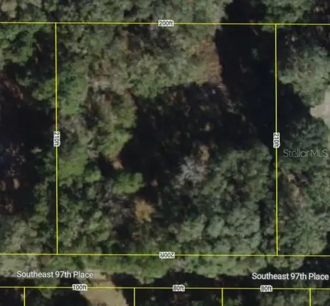 000 SE 97th Place Ocklawaha FL 32179