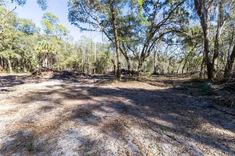815 NE 145th Avenue Road Silver Springs FL 34488
