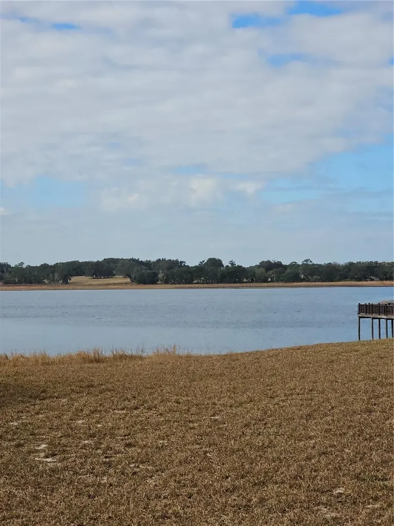Tbd SE 136th Terrace Dunnellon FL 34431