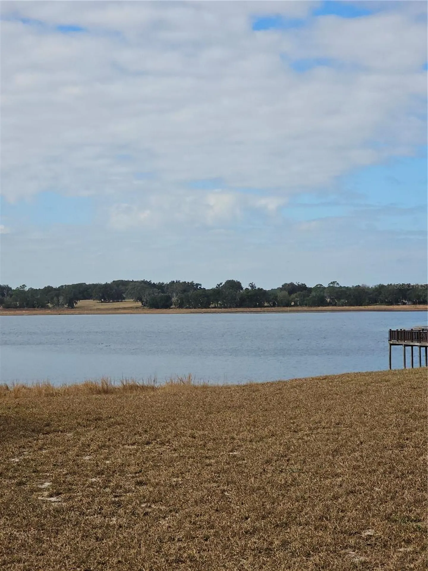 Tbd SE 136th Terrace Dunnellon FL 34431