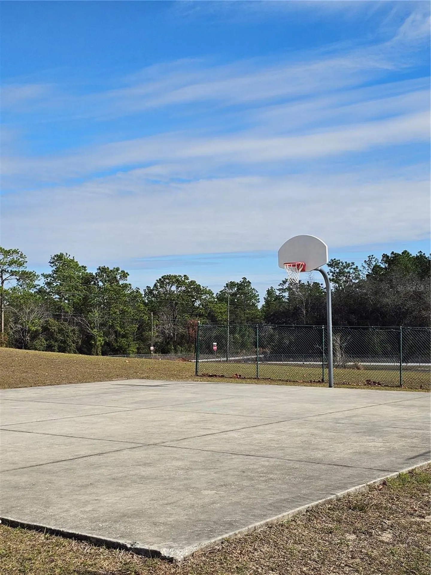 Tbd SE 136th Terrace Dunnellon FL 34431