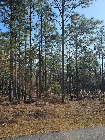 Tbd SE 136th Terrace Dunnellon FL 34431