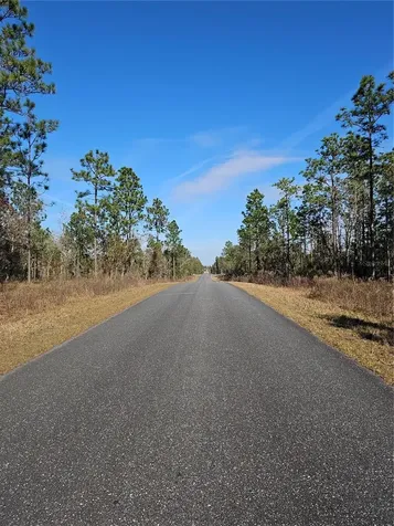 Tbd SE 136th Terrace Dunnellon FL 34431