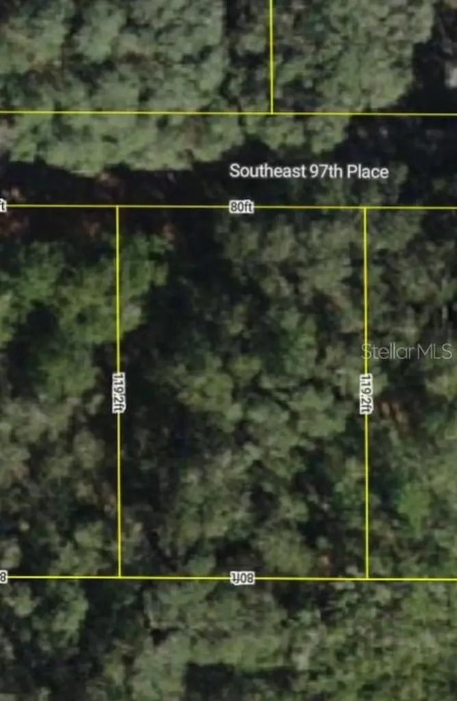 0000 SE 97th Place Ocklawaha FL 32179