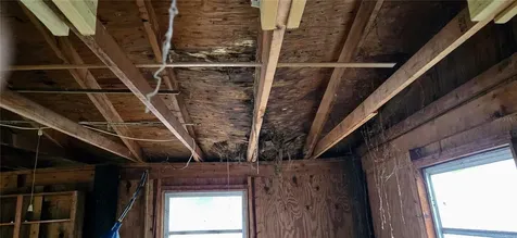 4220 N Habana Avenue Tampa FL 33607