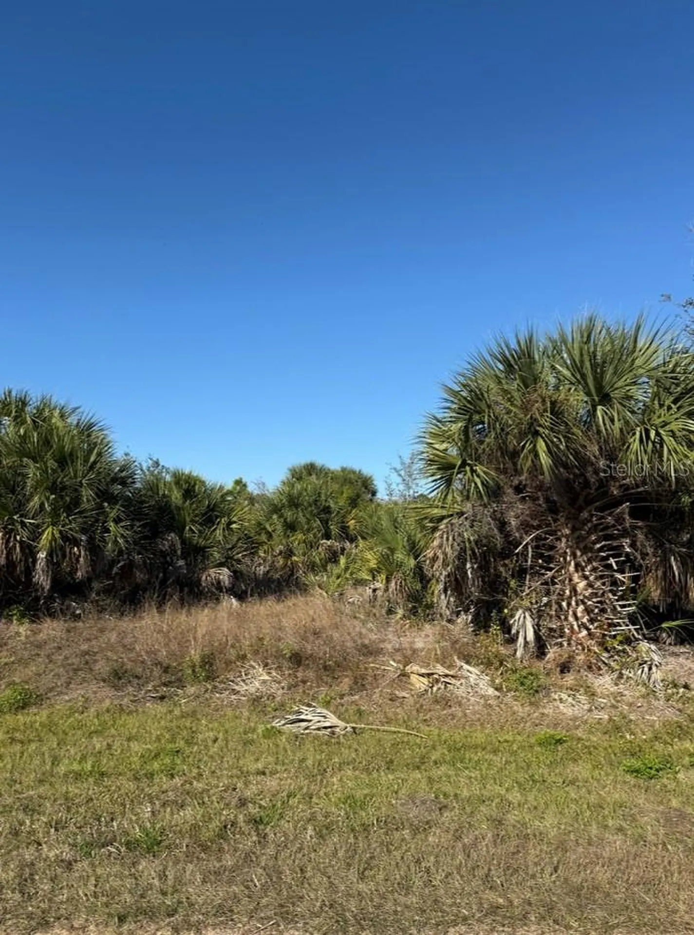 15401 Hennipen Circle Port Charlotte FL 33981