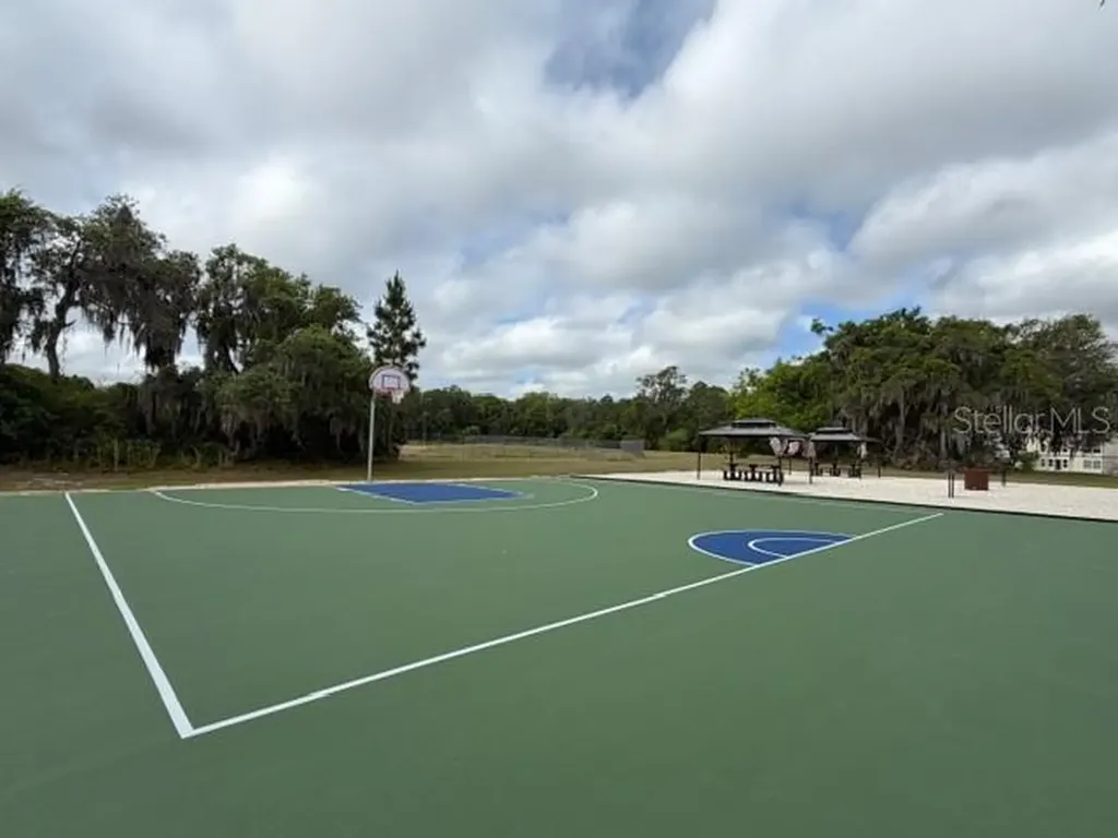 21204 Sandalwood Drive Wildwood FL 34785