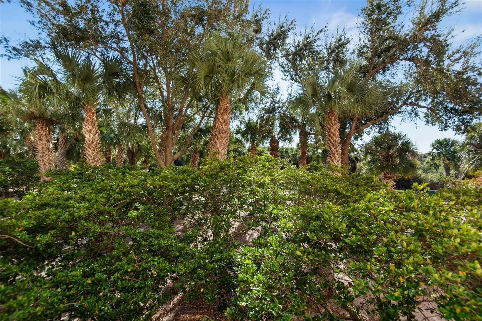 15 Ocean Crest Way Palm Coast FL 32137