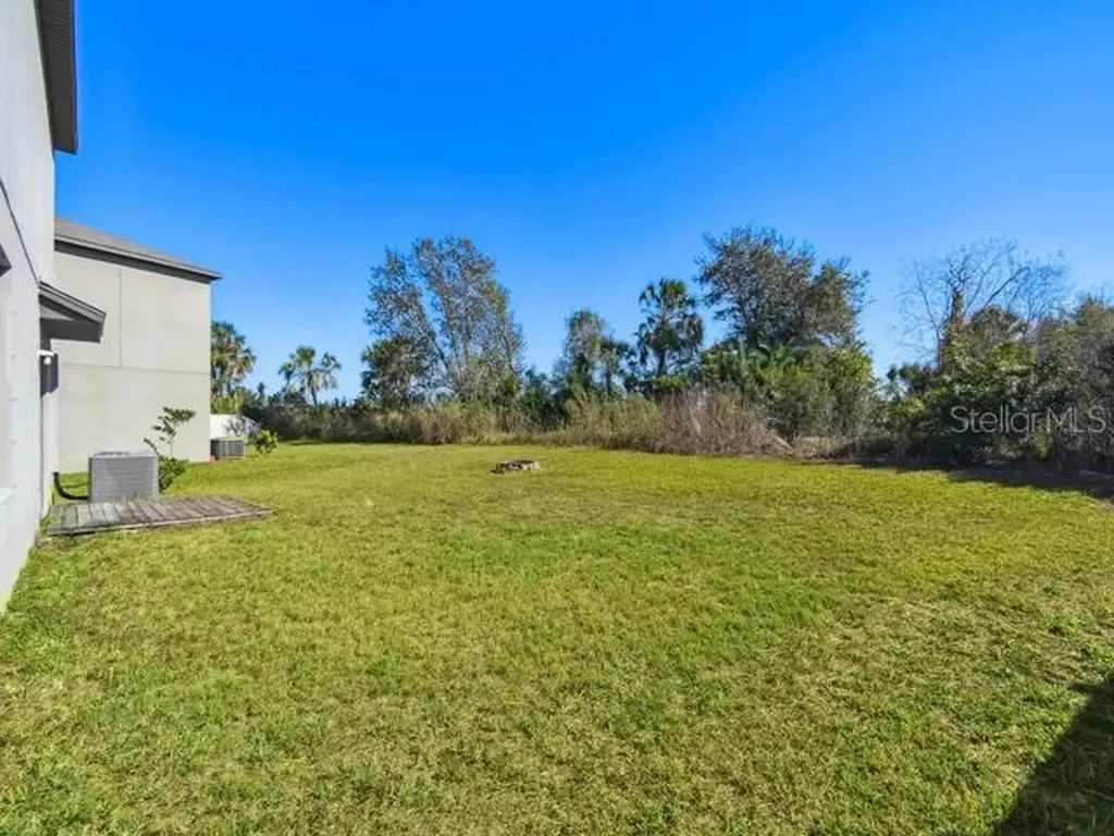 5157 White Chicory Drive Apollo Beach FL 33572