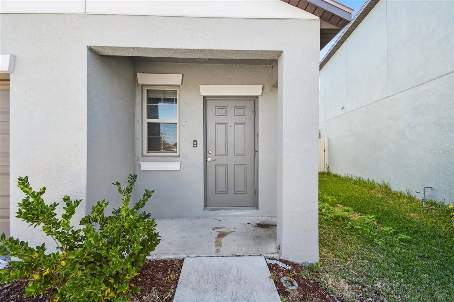 5157 White Chicory Drive Apollo Beach FL 33572