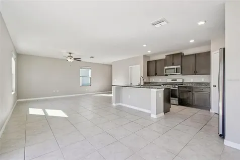 5157 White Chicory Drive Apollo Beach FL 33572