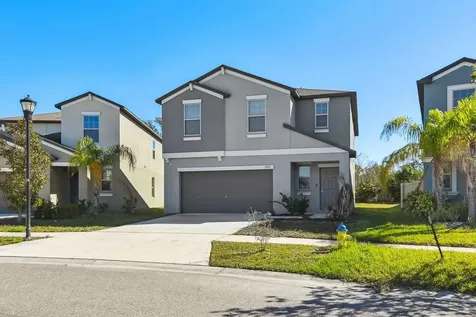 5157 White Chicory Drive Apollo Beach FL 33572