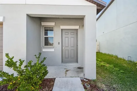 5157 White Chicory Drive Apollo Beach FL 33572