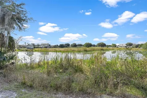 39320 Lake Norris Road Eustis FL 32736